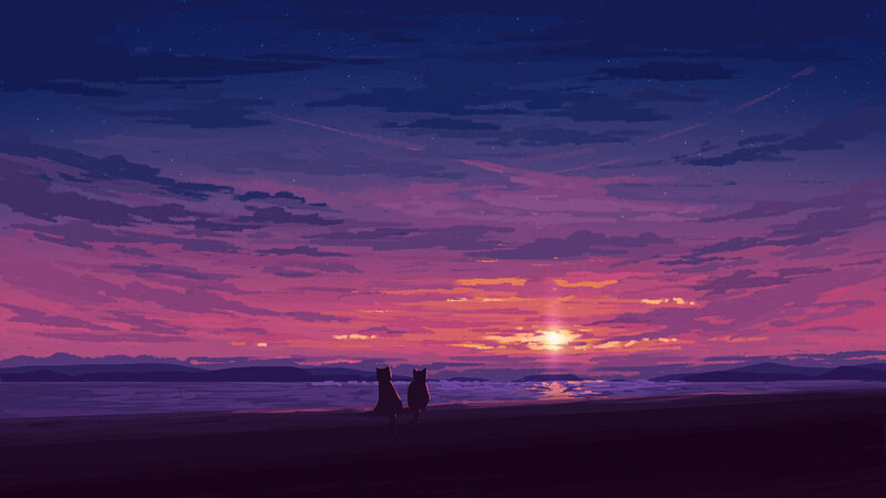 Two Cats on Beach
