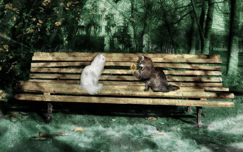 Two Cats on Bench — Green, Serene, Autumn, Digital Art