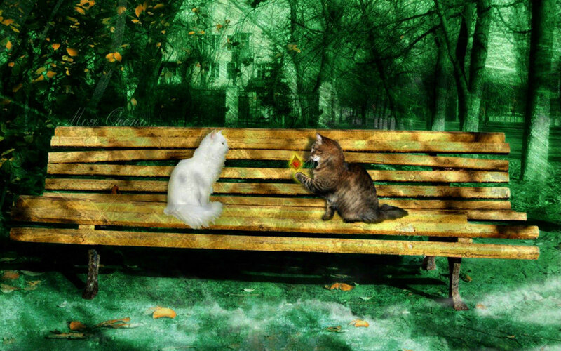 Two Cats on Bench — Green, Serene, Autumn