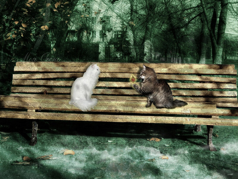 Two Cats on Bench — Green