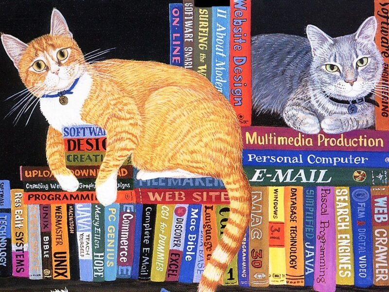 Two Cats on Books