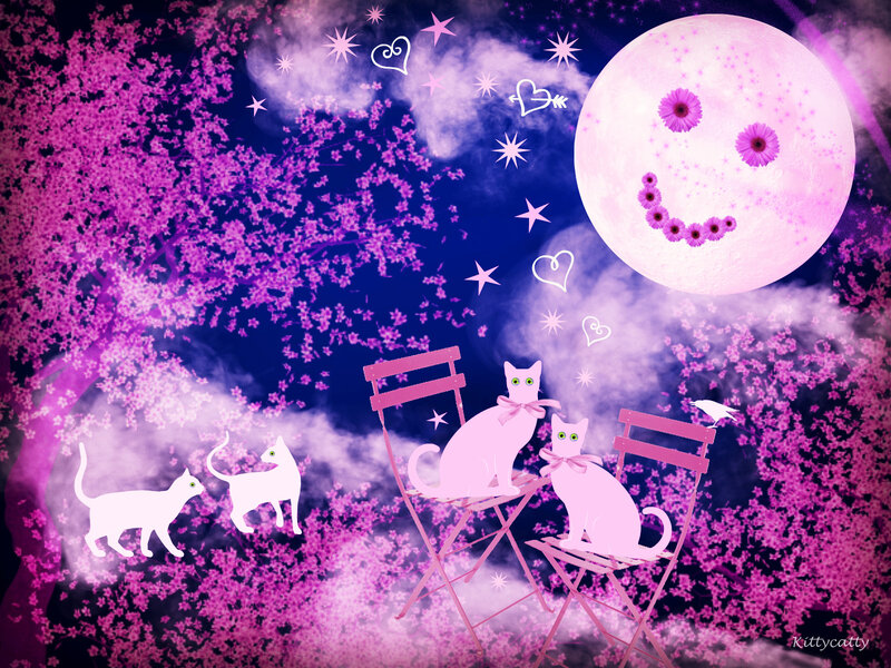 Two Cats on Chairs — Pink