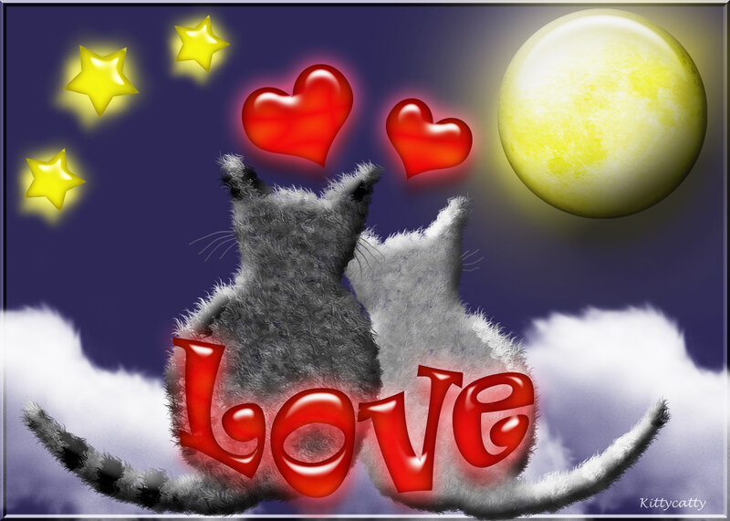 Two Cats on Clouds