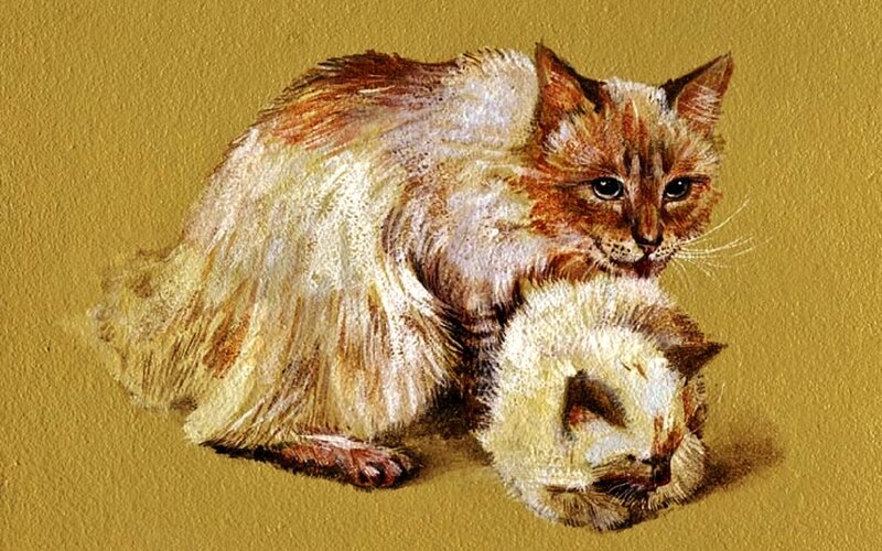Two Cats on Gold