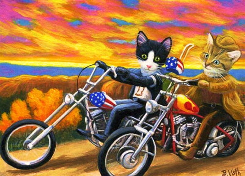 Two Cats on Motorcycles