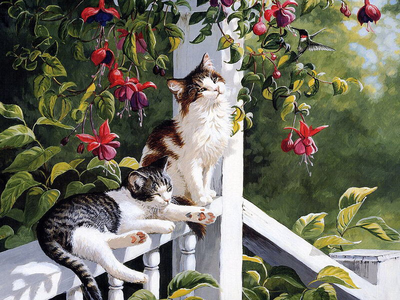 Two Cats on Porch — Green, Serene