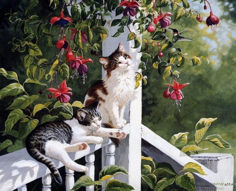 Two Cats on Porch — Green