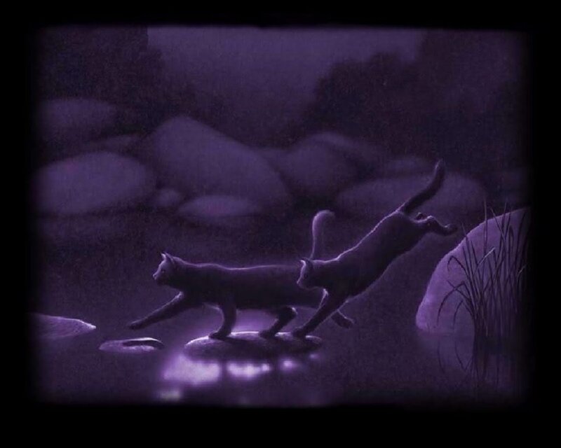 Two Cats on Rocks — Purple