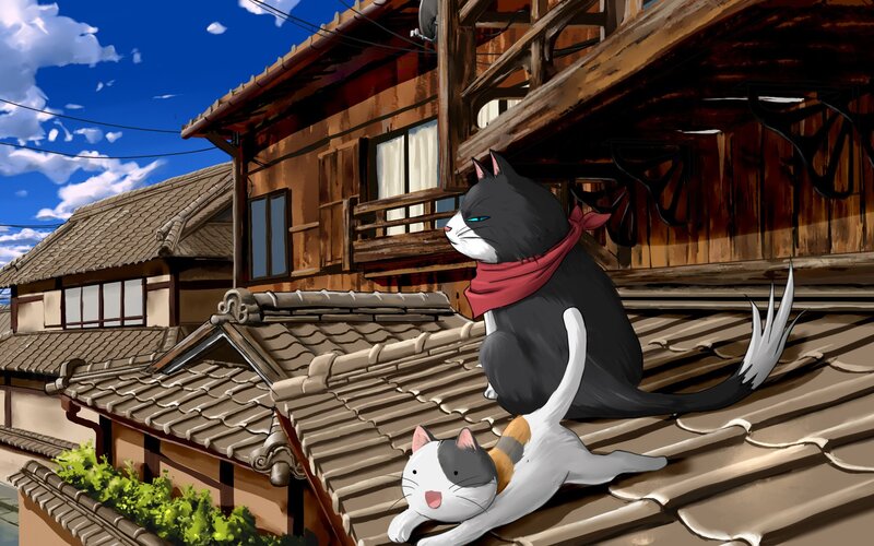 Two Cats on Roof — Blue