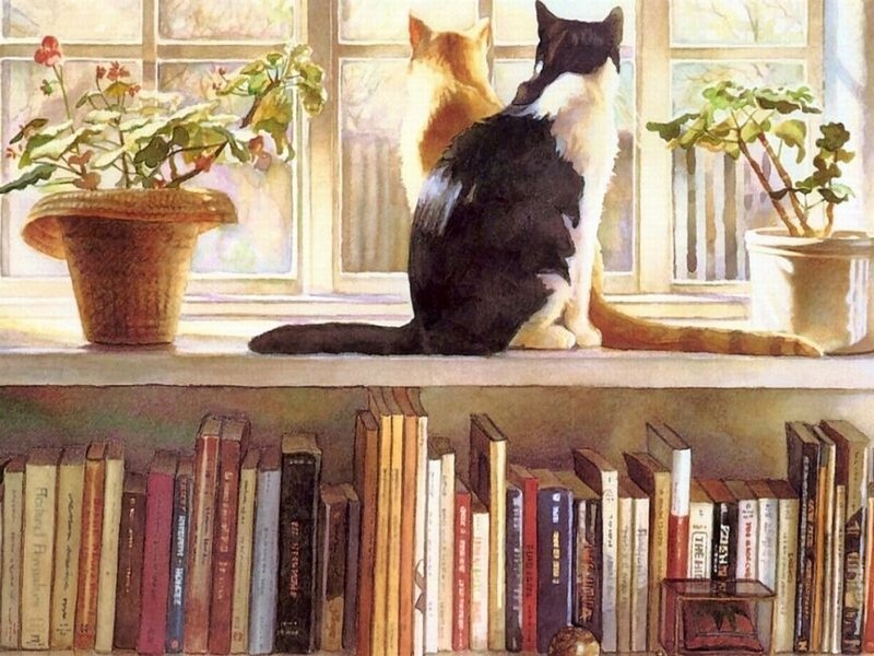 Two Cats on Windowsill — Brown, Serene