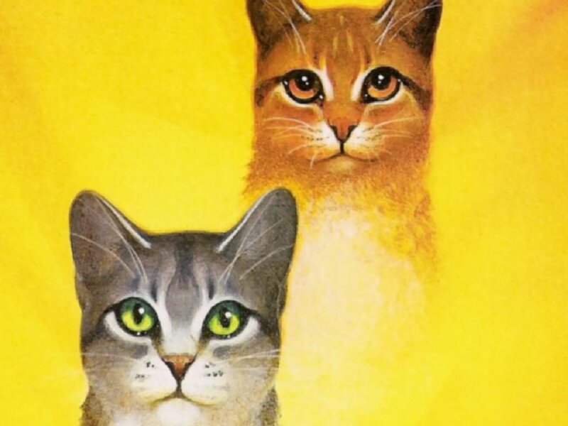 Two Cats on Yellow