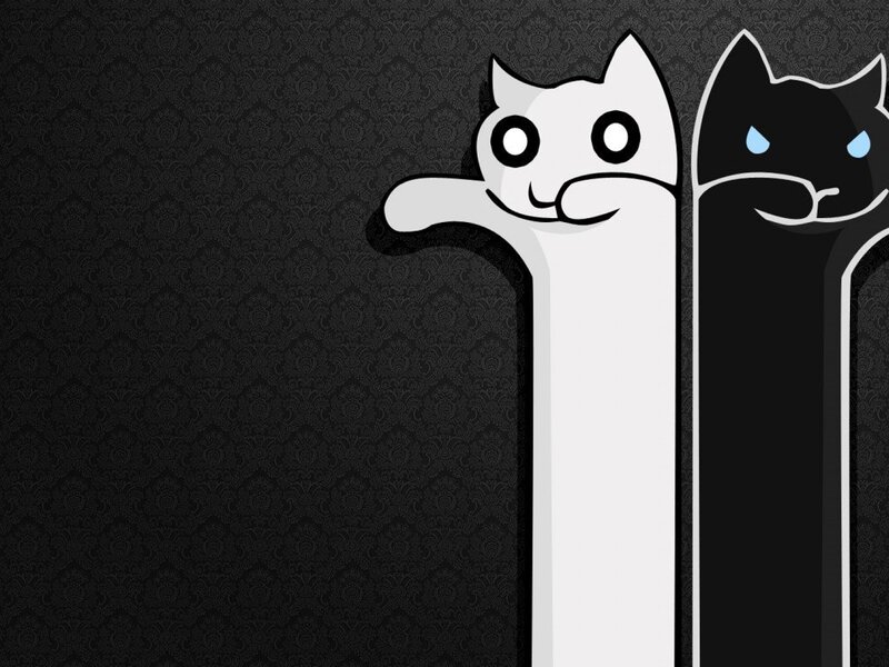 two cats peeking from behind