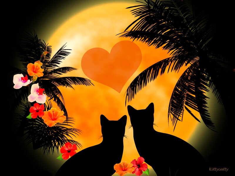 Two Cats Silhouetted — Orange, Romantic