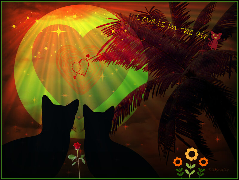 Two Cats Silhouetted — Red, Romantic