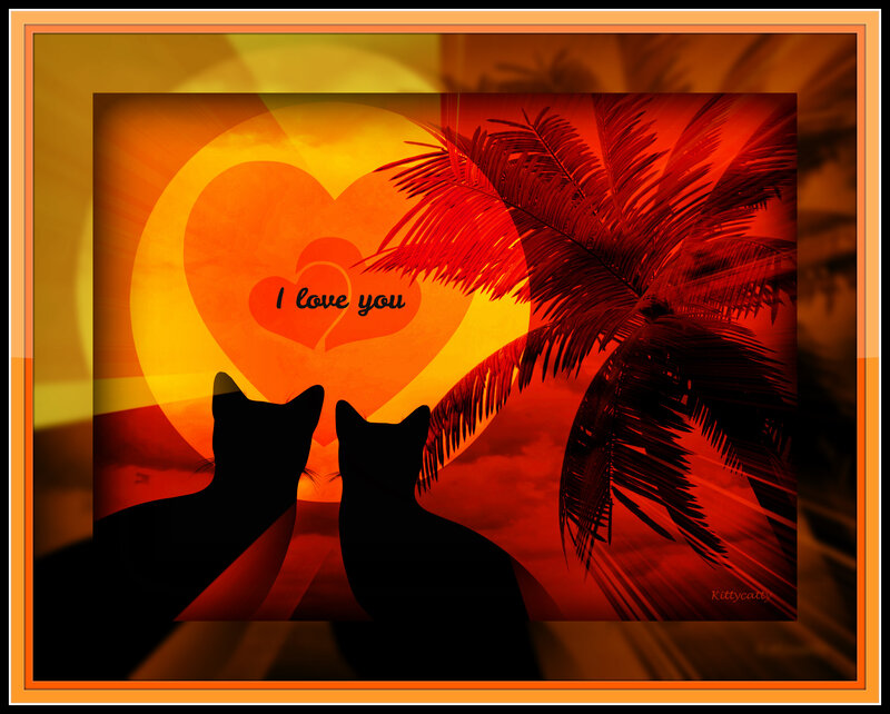 Two Cats Silhouetted — Red