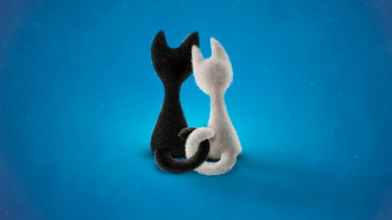 Two Cats Sitting Together — Blue, Calm