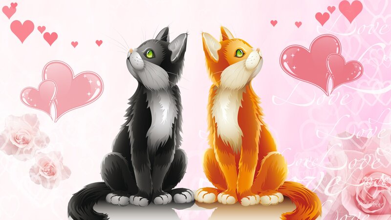 Two Cats Sitting Together — Pink