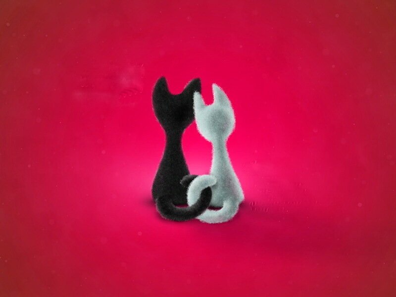 Two Cats Sitting Together — Red