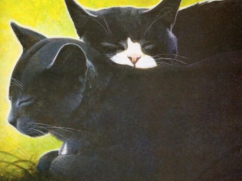 Two Cats Sleeping — Black, Peaceful, Painting