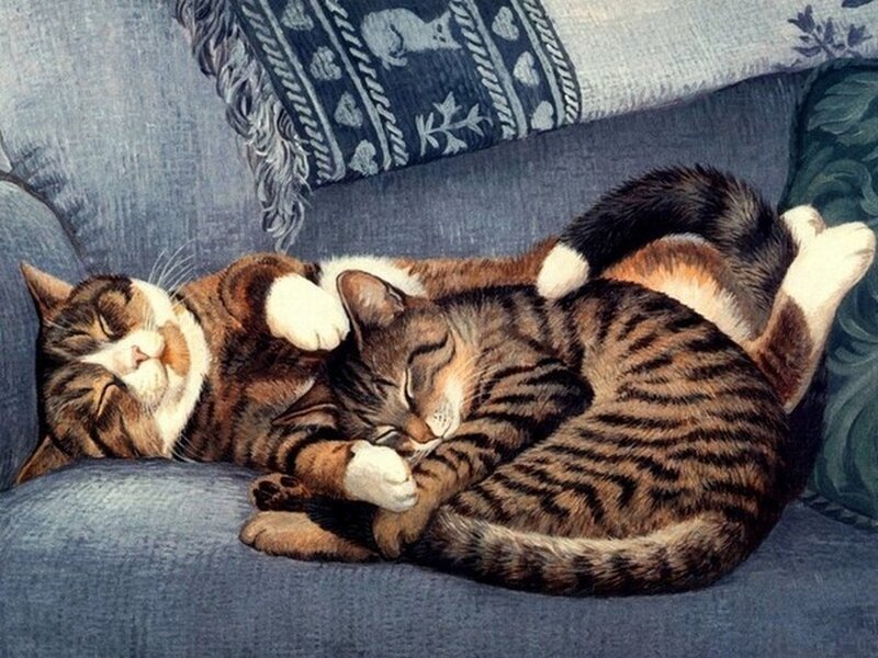 Two Cats Sleeping — Blue, Peaceful, Painting