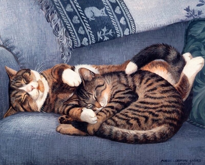 Two Cats Sleeping — Blue, Peaceful