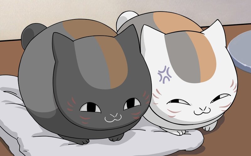 Two Cats Sleeping — Gray, Peaceful, Anime