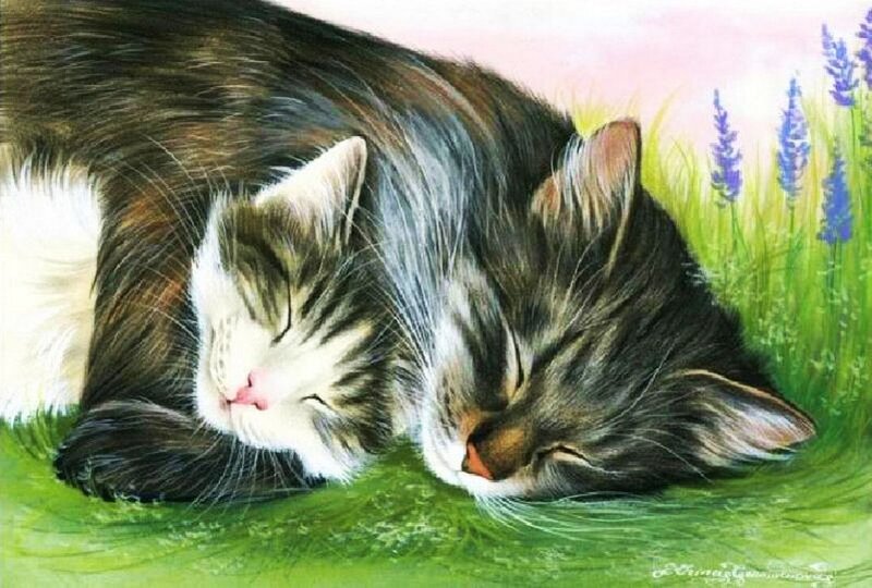 Two Cats Sleeping — Green, Serene