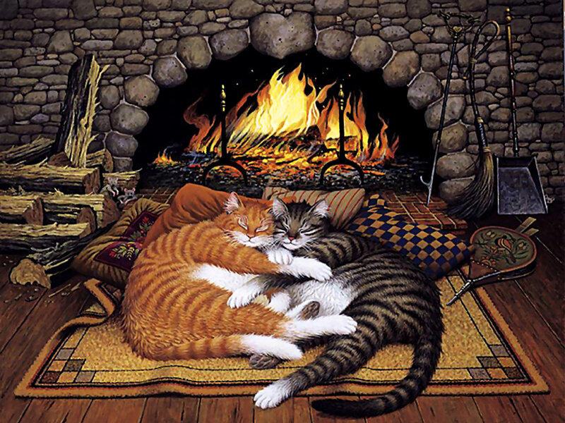 Two Cats Sleeping — Orange, Cozy