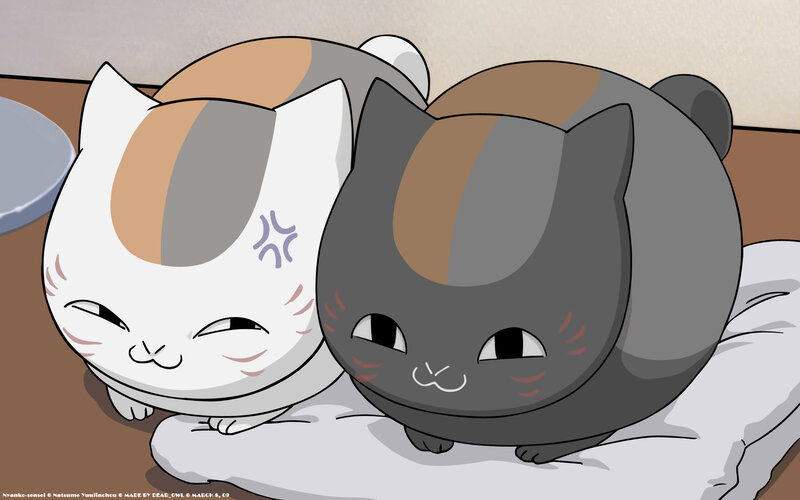 Two cats sleeping together