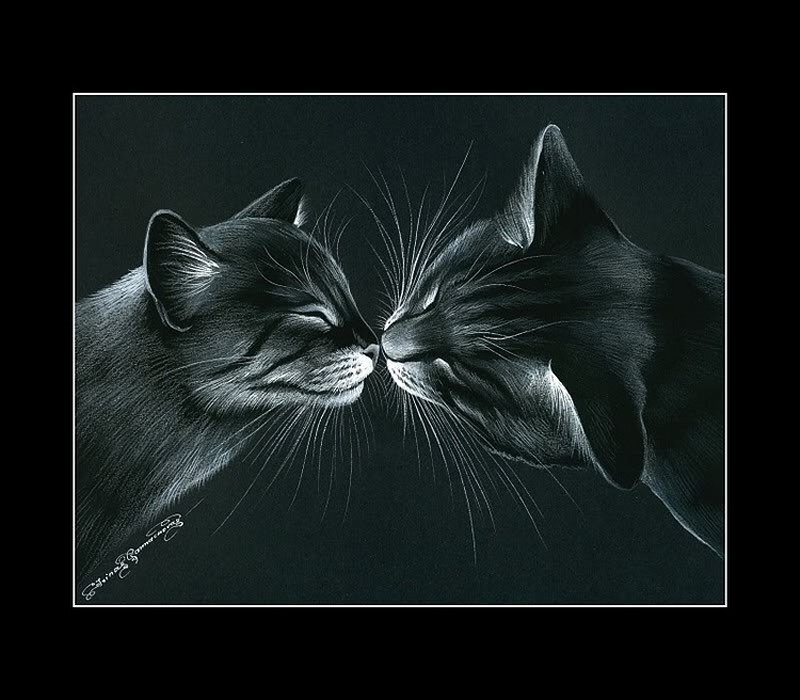 Two Cats Touching Noses — Black