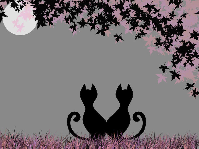 two cats under a moonlit tree