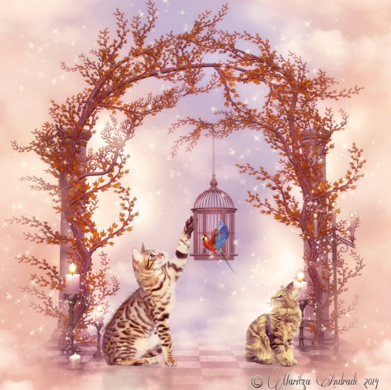 Two Cats under Arch