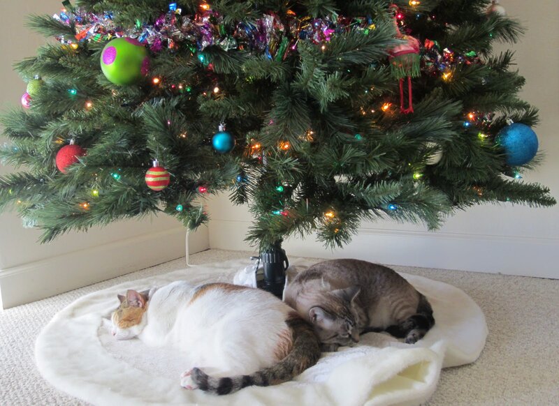 Two Cats under Tree