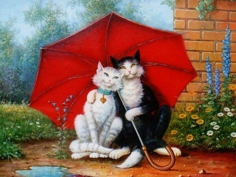 Two Cats under Umbrella — Red, Serene