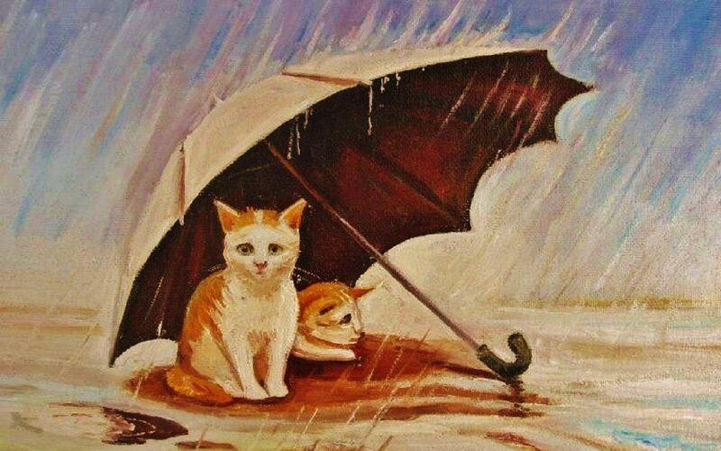 Two Cats under Umbrella — White, Dramatic