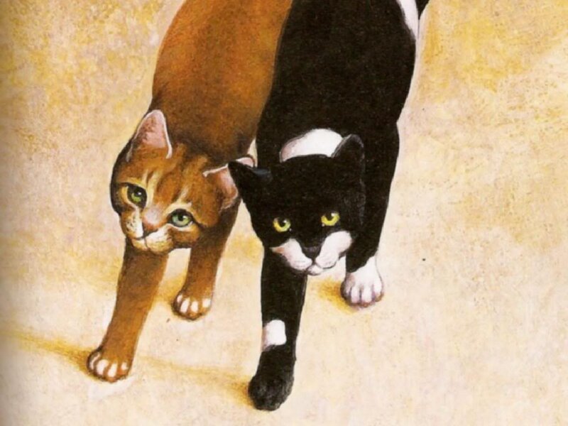 Two Cats Walking — Brown