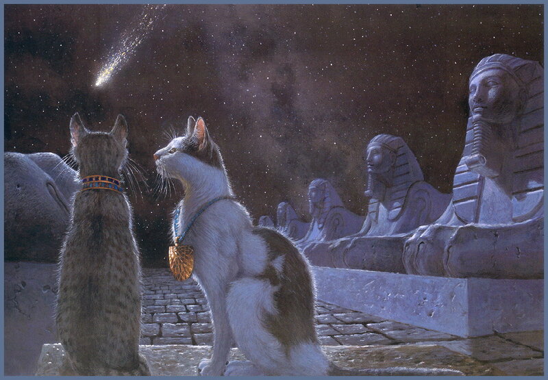 Two Cats Watching Meteor