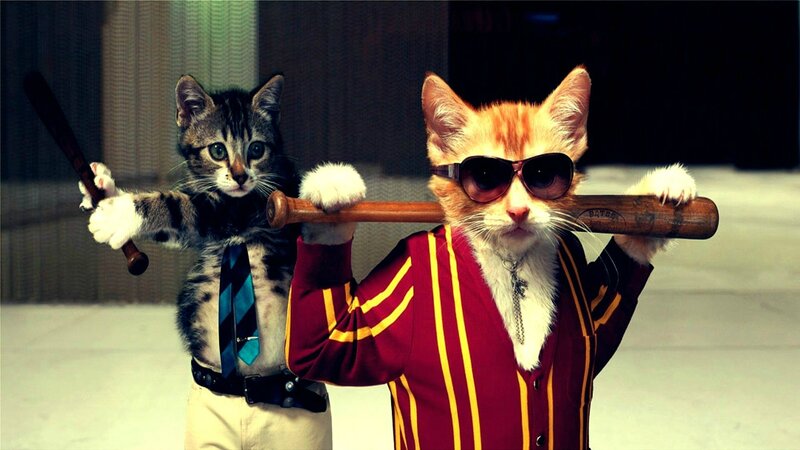 Two Cats with Bats — Red