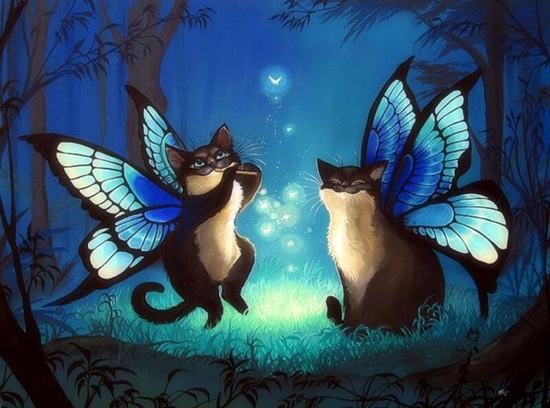 Two Cats with Butterfly Wings