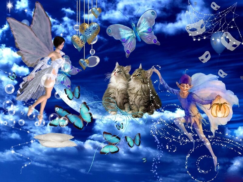 Two Cats with Fairies