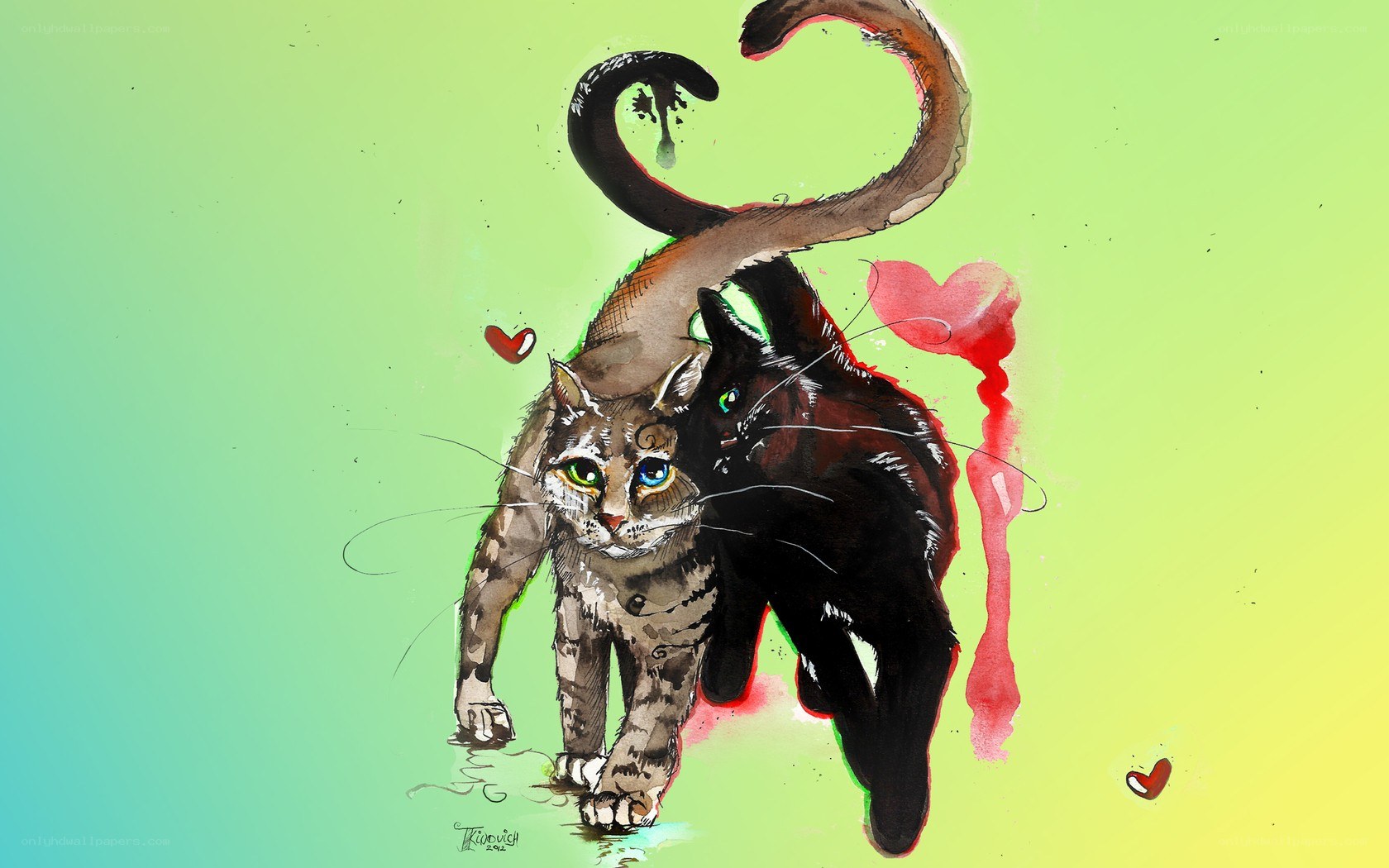 Two cats with heart tails