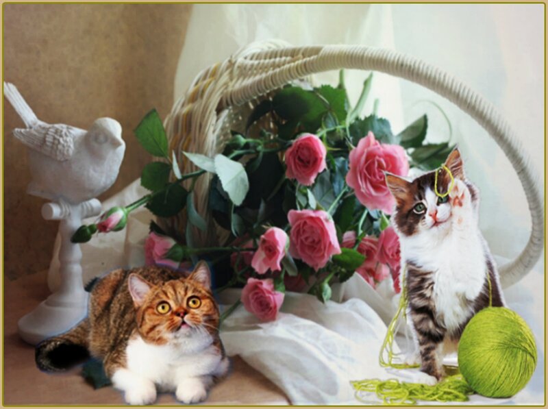 Two Cats with Roses — Pink