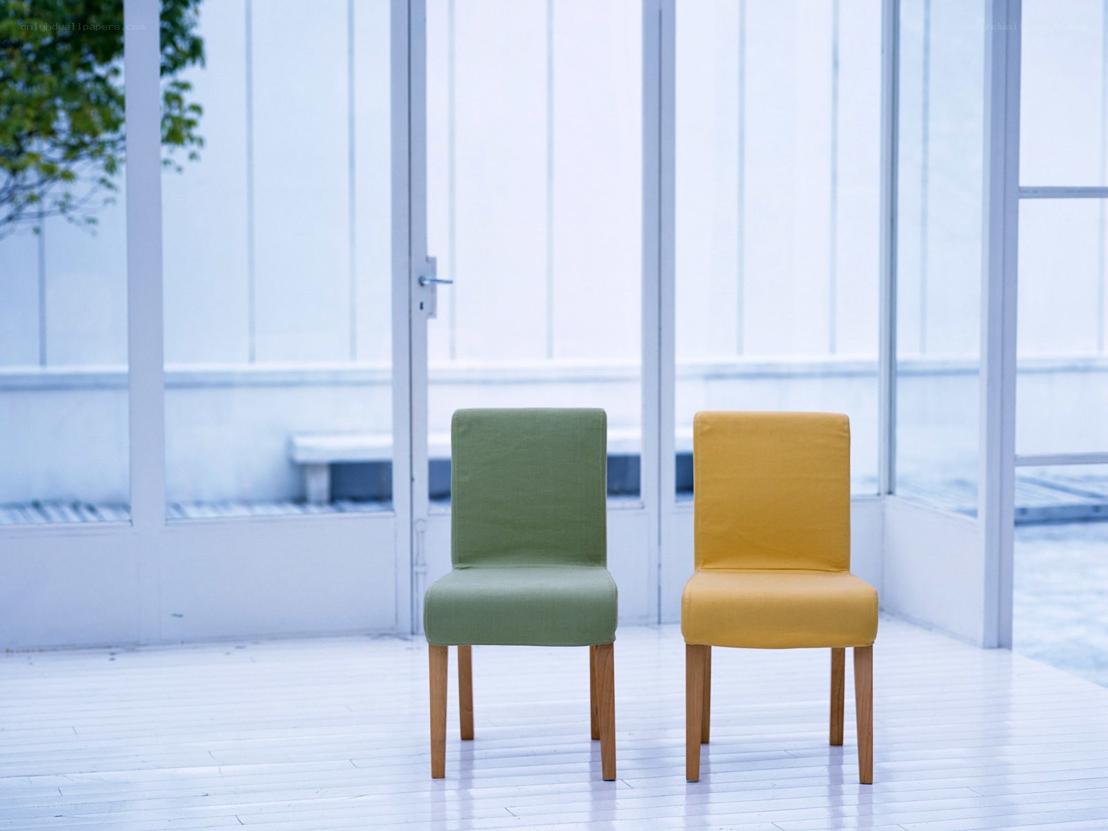 Two chairs in a bright room