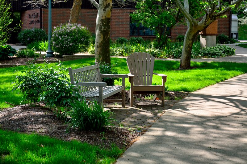 Two Chairs in Garden