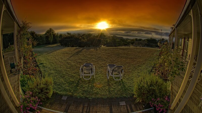 Two Chairs on Lawn — Orange