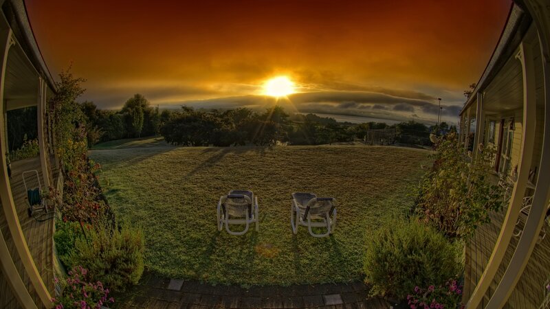 Two Chairs on Lawn
