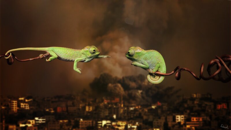 Two Chameleons on Wire