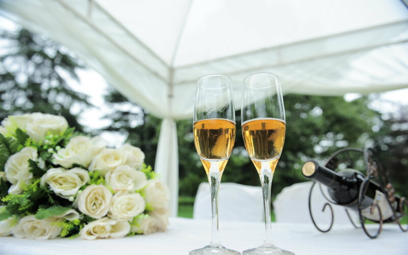 Two Champagne Glasses — White, Elegant, Afternoon