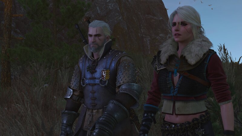 Two Characters in Armor — Gray, Serious