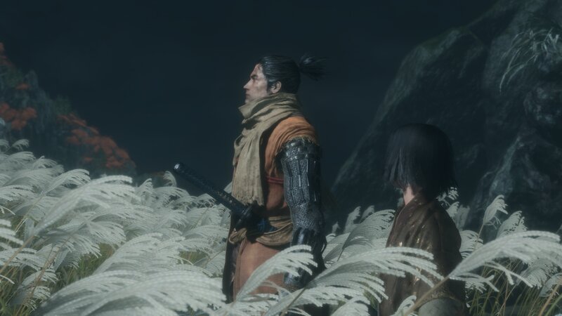 Two Characters in Tall Grass